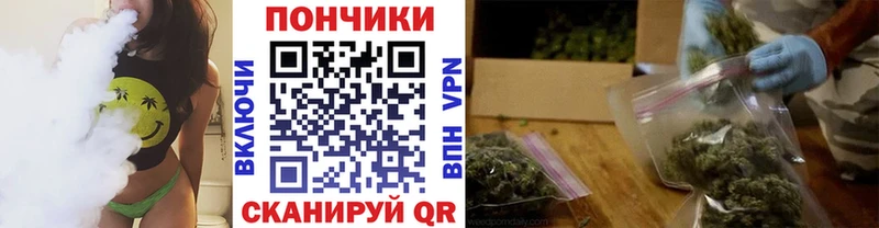 Бошки Шишки White Widow  закладка  Могоча 